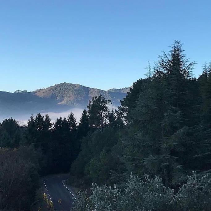 Gite Des 3 Vallees - Le Soleil Des Cevennes Lägenhet Saint-Jean-du-Gard Exteriör bild