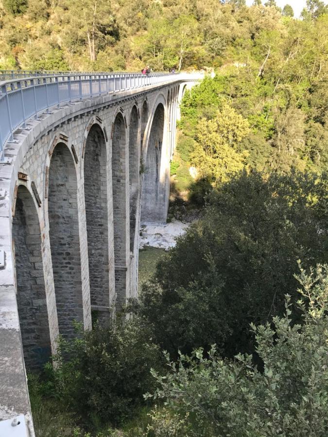 Gite Des 3 Vallees - Le Soleil Des Cevennes Lägenhet Saint-Jean-du-Gard Exteriör bild