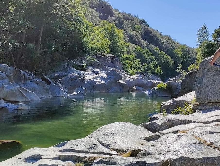 Gite Des 3 Vallees - Le Soleil Des Cevennes Lägenhet Saint-Jean-du-Gard Exteriör bild