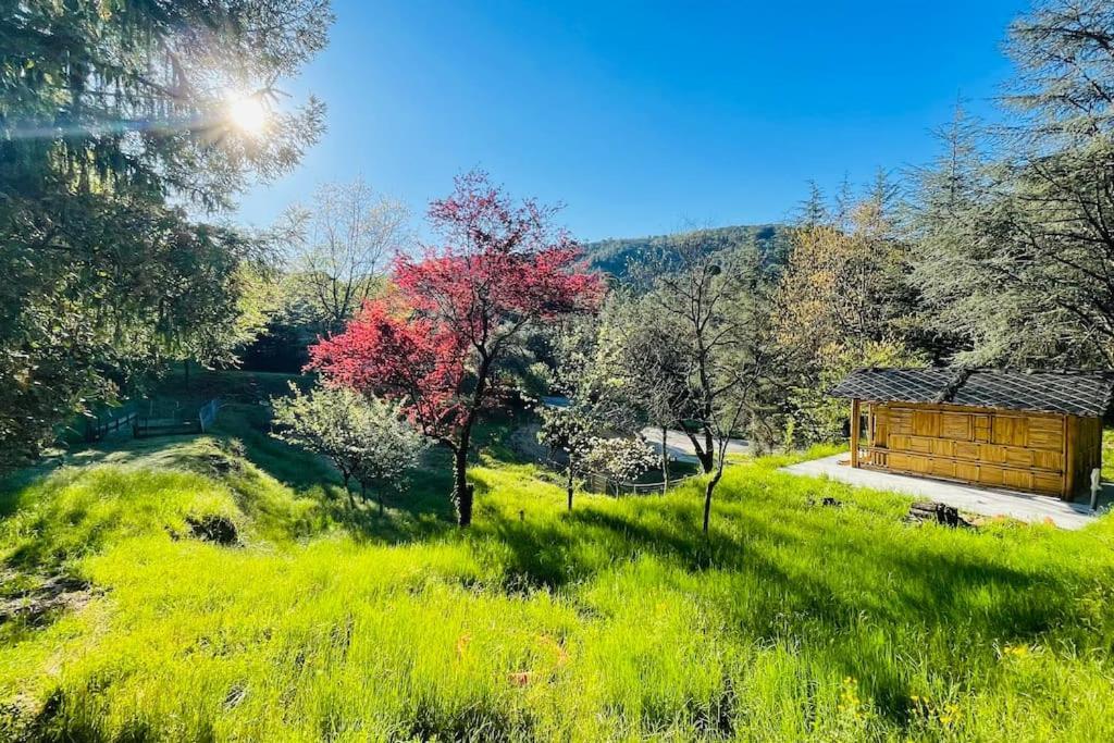 Gite Des 3 Vallees - Le Soleil Des Cevennes Lägenhet Saint-Jean-du-Gard Exteriör bild