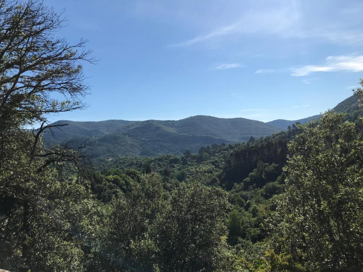 Gite Des 3 Vallees - Le Soleil Des Cevennes Lägenhet Saint-Jean-du-Gard Exteriör bild