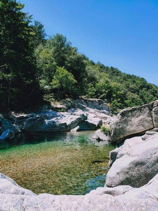 Gite Des 3 Vallees - Le Soleil Des Cevennes Lägenhet Saint-Jean-du-Gard Exteriör bild