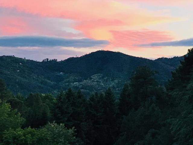 Gite Des 3 Vallees - Le Soleil Des Cevennes Lägenhet Saint-Jean-du-Gard Exteriör bild