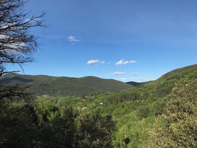 Gite Des 3 Vallees - Le Soleil Des Cevennes Lägenhet Saint-Jean-du-Gard Exteriör bild